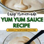 Creamy Fusion Sauce Recipe