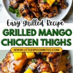 Tropical Grilled Mango Chicken Recipe