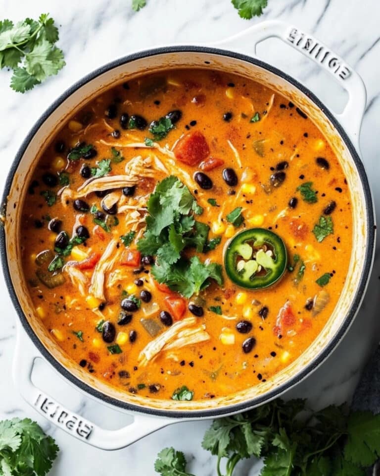 Chicken Enchilada Soup Recipe