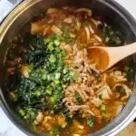 Instant Pot Spicy Dumpling Soup Recipe
