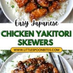 Japanese Yakitori Chicken Recipe