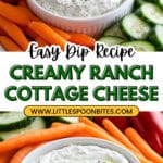 Cottage Cheese Dip with Ranch Seasoning Recipe