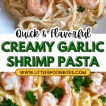 Creamy Garlic Shrimp Pasta Recipe