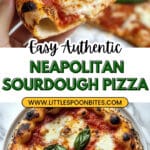 Neapolitan Sourdough Pizza Recipe