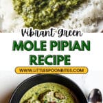 GREEN MOLE PIPIAN Recipe