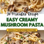 Creamy Mushroom Pasta Recipe