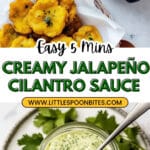 Creamy Cilantro, Jalapeño, and Garlic Green Sauce Recipe