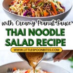 Thai Noodle Salad with Peanut Sauce Recipe