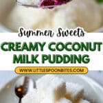 Coconut Milk Pudding Recipe