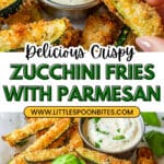 Zucchini Fries Recipe