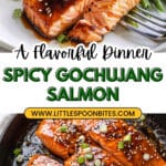 Gochujang Salmon Recipe