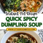 Instant Pot Spicy Dumpling Soup Recipe