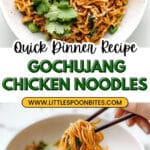 Saucy Gochujang Noodles with Chicken Recipe
