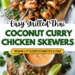 Thai Coconut Curry Marinated Grilled Chicken Skewers Recipe