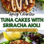 Cilantro Jalapeno Tuna Cakes Recipe