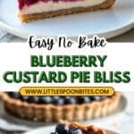 No Bake Blueberry Custard Pie Recipe