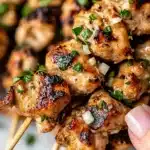 Air Fryer Garlic Parmesan Chicken Skewers Recipe