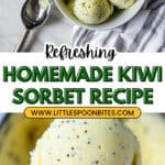 Kiwi Sorbet Recipe
