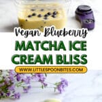 Blueberry Matcha Green Tea Ice Cream Recipe