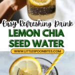 Chia Seed Water Recipe