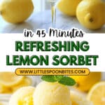 Lemon Sorbet Recipe