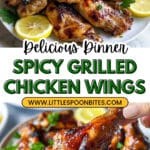 Spicy Grilled Chicken Wings Recipe