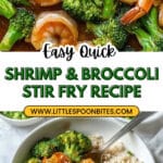 Shrimp & Broccoli Stir Fry Recipe