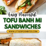 Banh Mi Sandwich Recipe