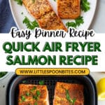 Air Fryer Salmon Recipe