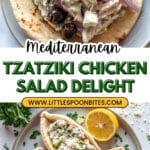 Tzatziki Chicken Salad Recipe