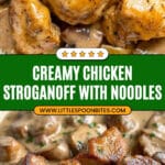Chicken Stroganoff Recipe