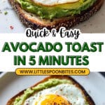 Healthy 5 Minute Avocado Toast Recipe