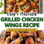 Grilled Chicken Wings Recipe