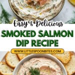 Smoked Salmon Dip Recipe