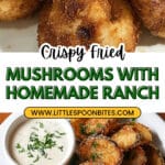 Fried Sliced Mushrooms with Ranch Recipe