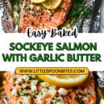 Baked Sockeye Salmon Recipe