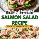 Salmon Salad Recipe
