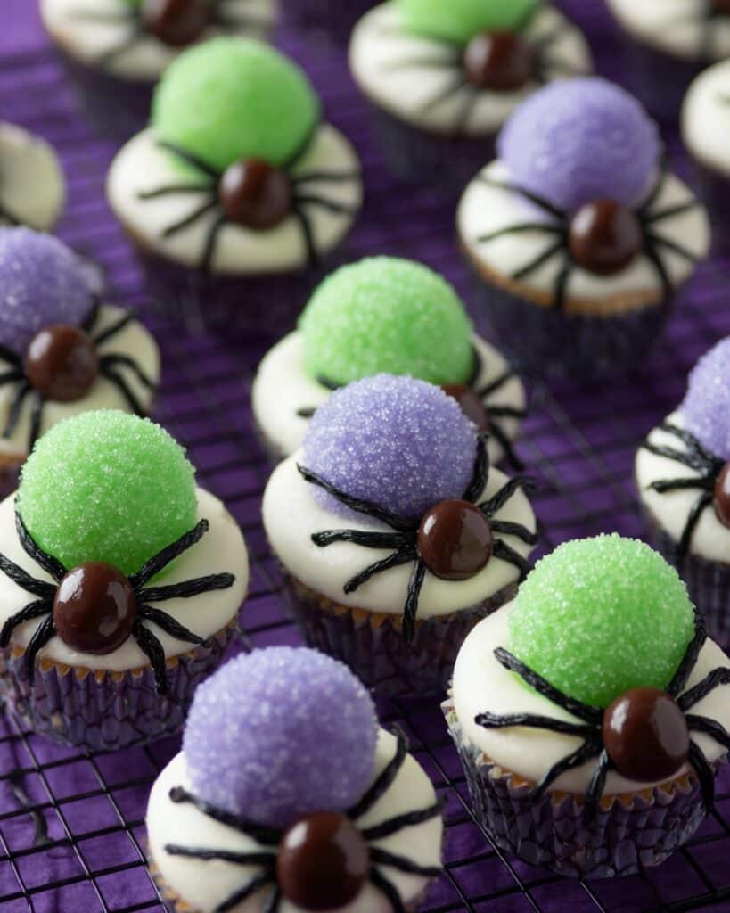 Spider Bites Mini Cupcakes Recipe