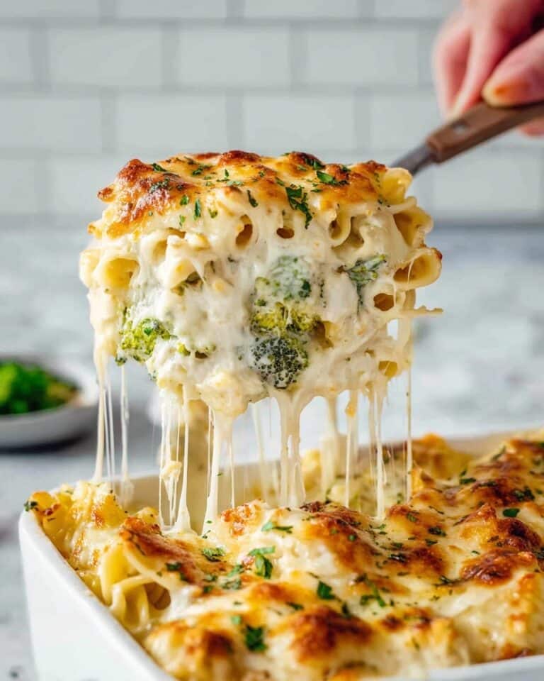 Creamy Chicken Broccoli Alfredo Bake Recipe